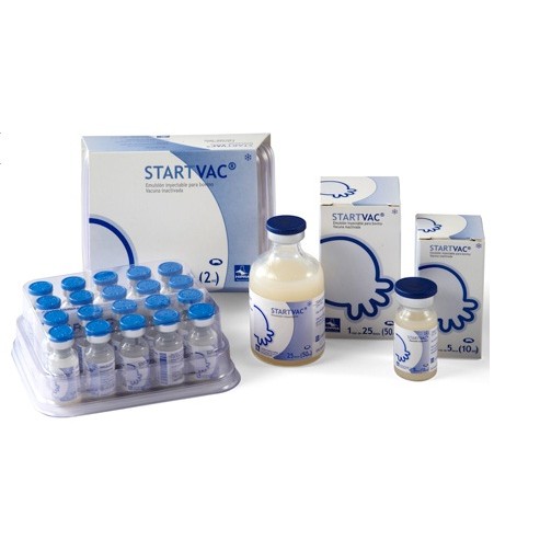 STARTVAC emulziós injekció szarvasmarháknak A.U.V.