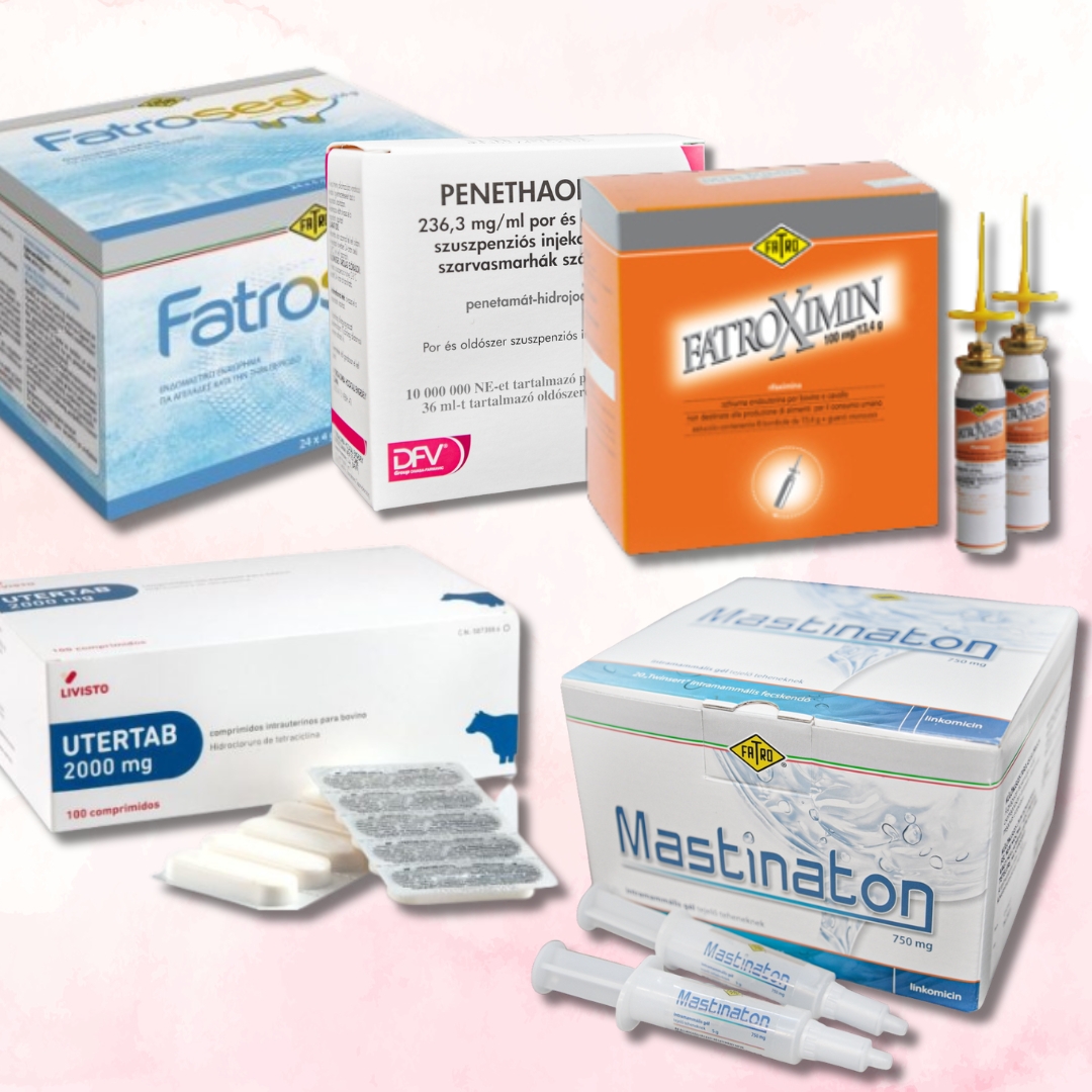 SZARVASMARHA TŐGYINFÚZIÓ ÉS MÉH KEZELŐ SZEREK