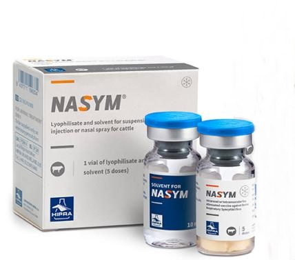 NASYM liofilizátum és oldószer szuszpenziós injekcióhoz vagy orrsprayhez szarvasmarháknak