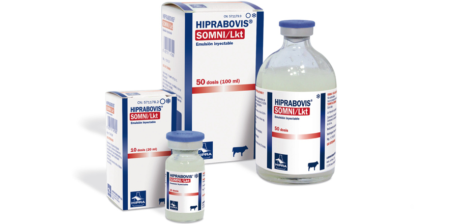 HIPRABOVIS SOMNI/Lkt vakcina A.U.V. szarvasmarhák részére
